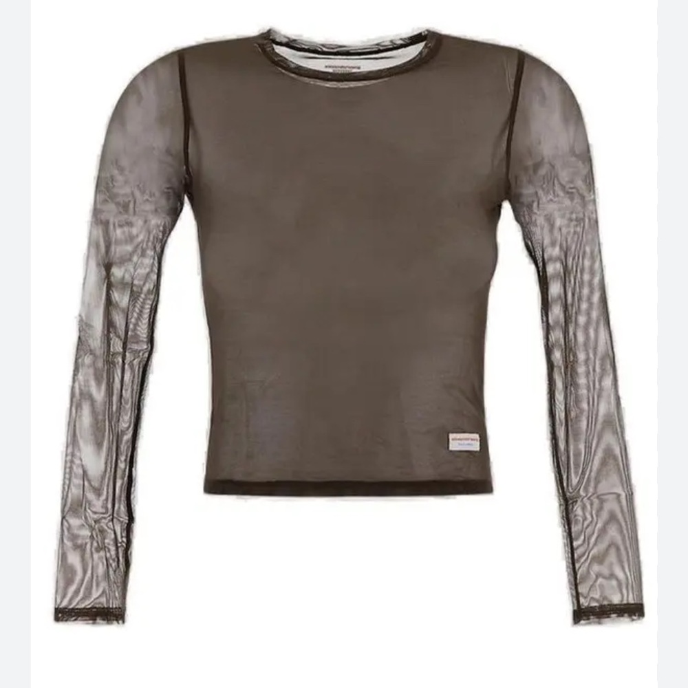 Alexander Wang Sheer Long Sleeve Top - brown